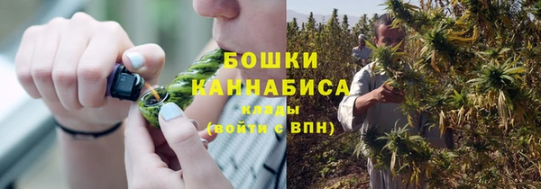 шишки Абдулино