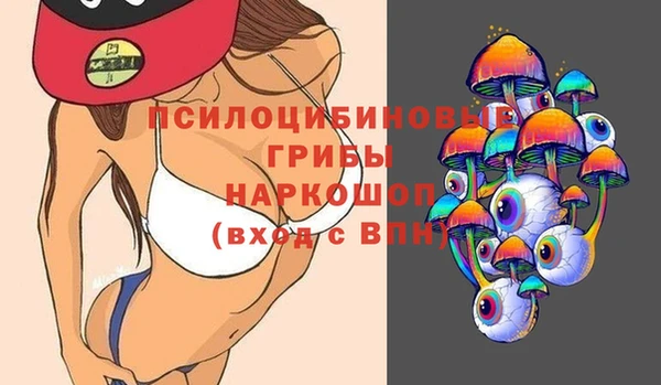 Альфа ПВП Алзамай